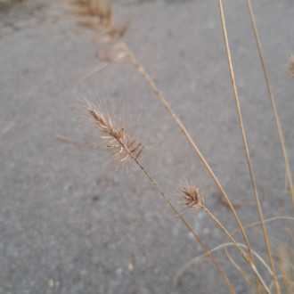 121918