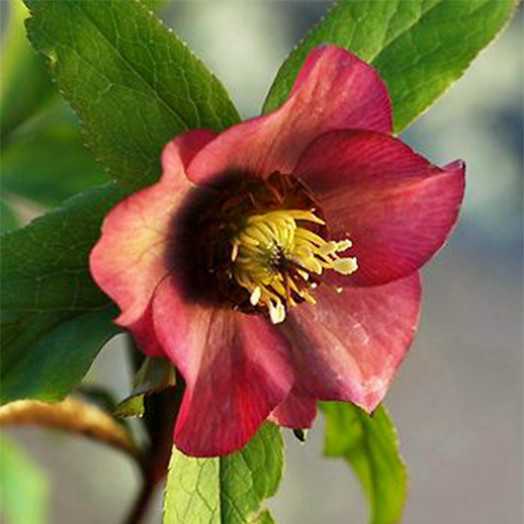 123013
