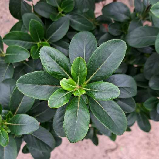 122849