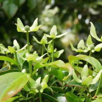 00041129_03